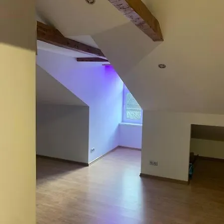 Apartment Heart Of Center *